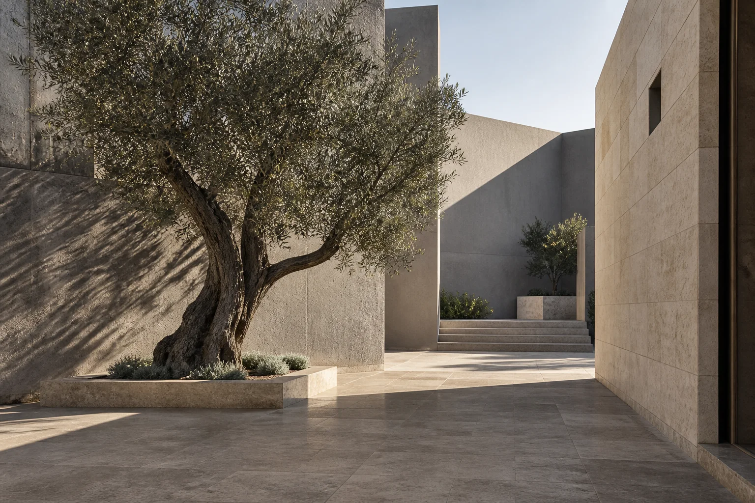 Illustrative olive tree courtyard with durable stone architecture and natural light